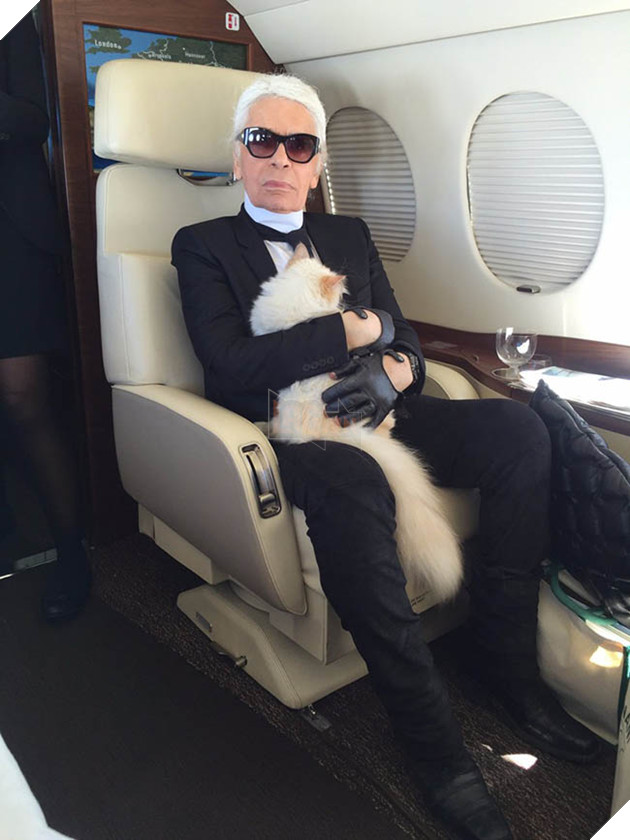 Co meo cua huyen thoai Karl Lagerfeld se la “em boss” giau nhat the gioi voi 4600 ty? 5 Cô mèo của huyền thoại Karl Lagerfeld sẽ là “em boss” giàu nhất thế giới với 4600 tỷ? 5