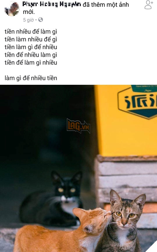 Gio len mang cho nao cung thay bi hoi 'Tien nhieu de lam gi?' hinh anh 6