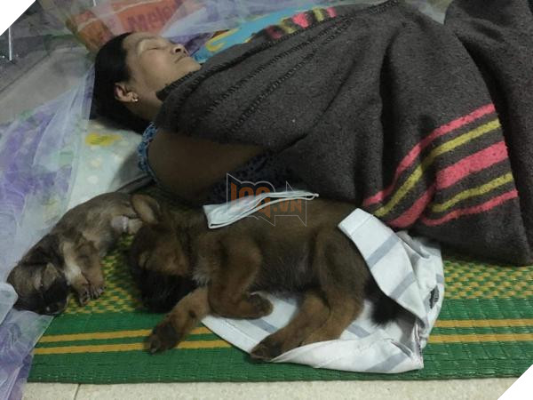 Tâm sự 'đẫm nước mắt' của 'hội con ghẻ' khi phụ huynh cưng 'hoàng thượng', 'boss' như trứng