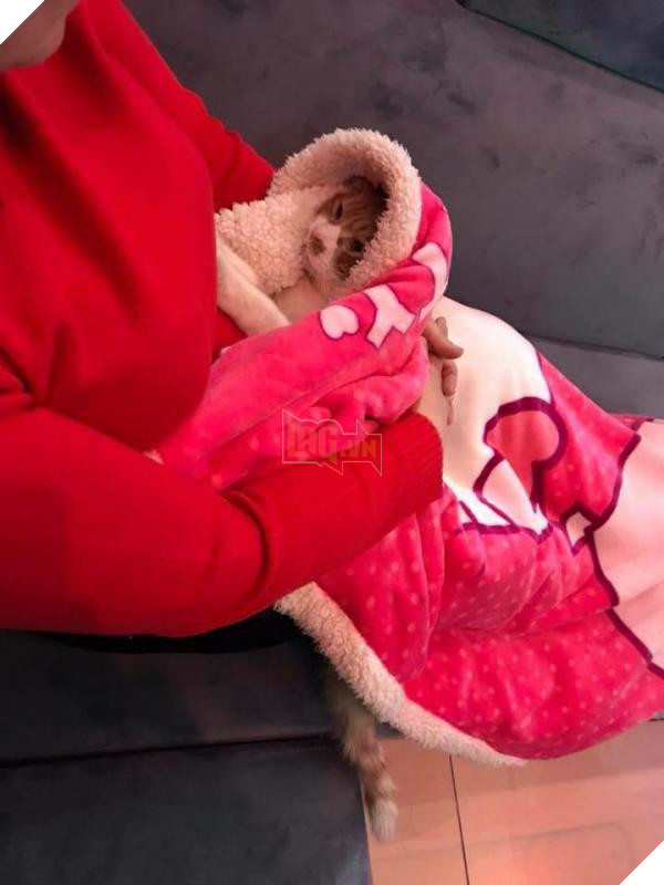 Tâm sự 'đẫm nước mắt' của 'hội con ghẻ' khi phụ huynh cưng 'hoàng thượng', 'boss' như trứng