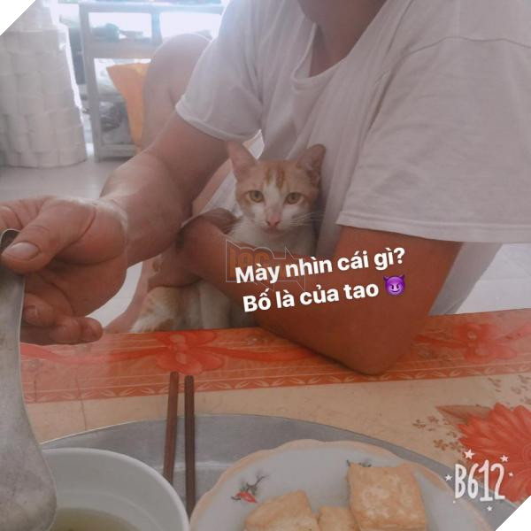 Tâm sự 'đẫm nước mắt' của 'hội con ghẻ' khi phụ huynh cưng 'hoàng thượng', 'boss' như trứng