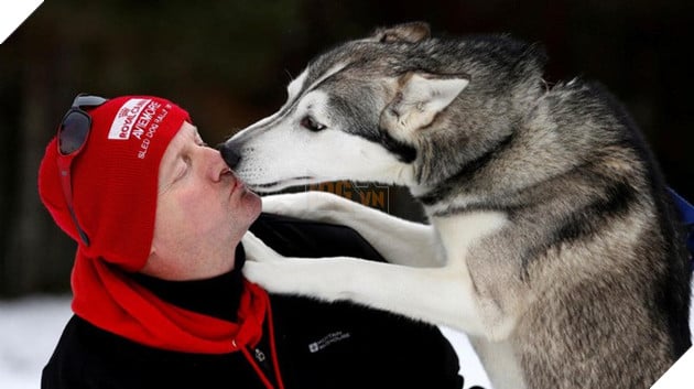 Khoa học chứng minh: Mất chó còn đau hơn mất người yêu - Ảnh 2.