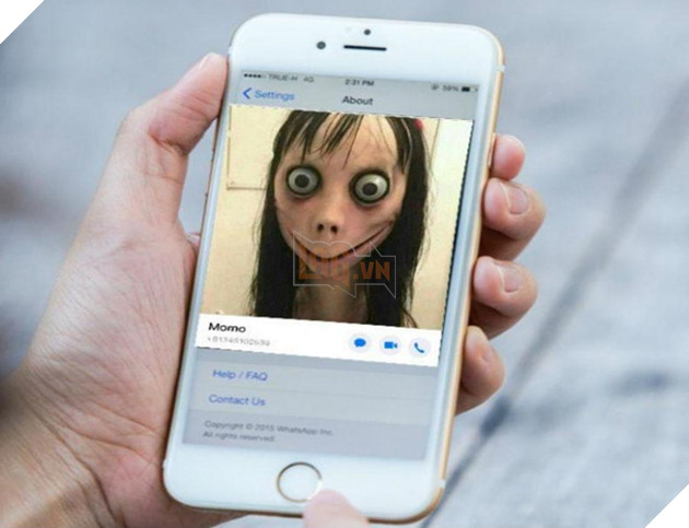 Momo - tro dua am anh gay sot tren mang gan day hinh anh 1