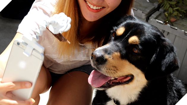 Những điều mà chỉ những người nuôi chó và yêu chó mới hiểu được!