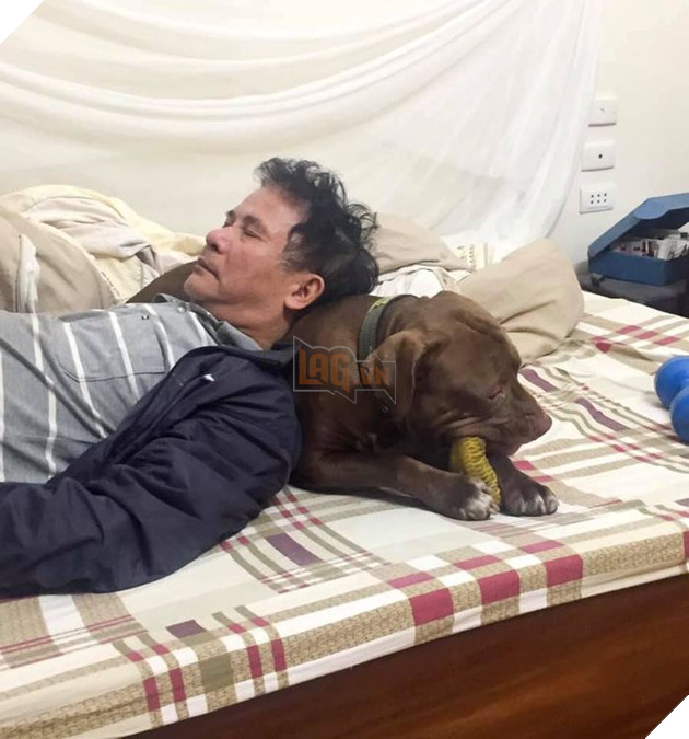 Hoàng thượng và boss ngủ chung… (Nguồn: Đảo chó).
Hoàng thượng và boss ngủ chung… (Nguồn: Đảo chó).