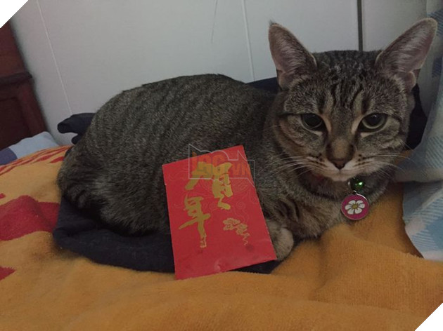 “Lì xì cho ta chưa đấy con sen kia?” (Nguồn: Subtle Asian Traits).
“Lì xì cho ta chưa đấy con sen kia?” (Nguồn: Subtle Asian Traits).