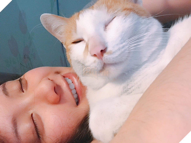 Bên nhau 7 năm dù sen bị dị ứng còn quàng thượng thì ngày càng núng nính - Ảnh 6.