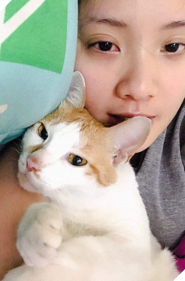 Bên nhau 7 năm dù sen bị dị ứng còn quàng thượng thì ngày càng núng nính - Ảnh 4.