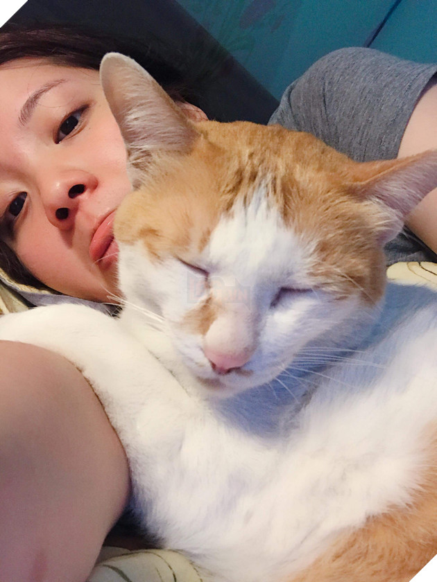 Bên nhau 7 năm dù sen bị dị ứng còn quàng thượng thì ngày càng núng nính - Ảnh 7.