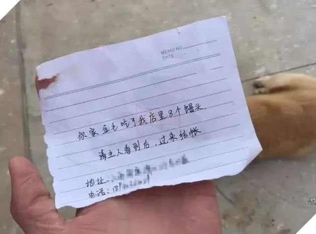Hóa ra cũng biết ăn trộm bánh bao cơ đấy!
Hóa ra cũng biết ăn trộm bánh bao cơ đấy!