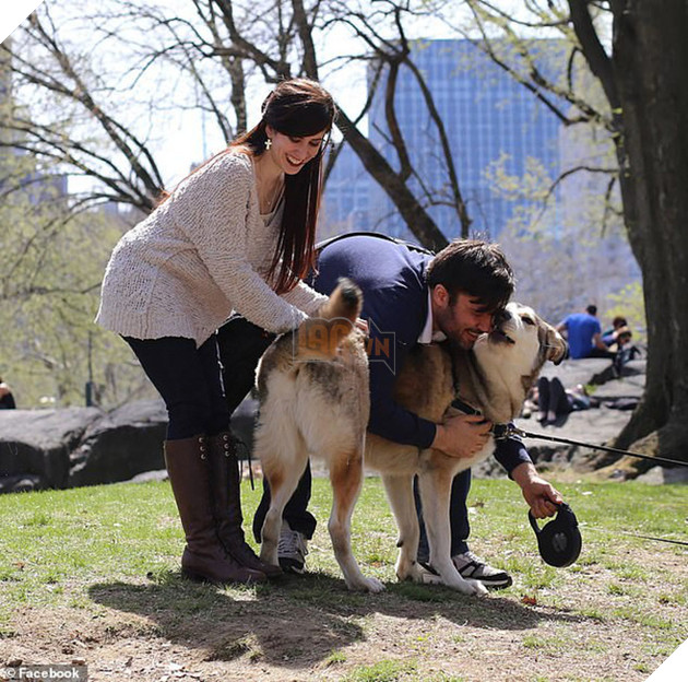Ch&#250; ch&#243; b&#225;o động chủ về đ&#225;m ch&#225;y l&#250;c nửa đ&#234;m nhưng cuối c&#249;ng n&#243; lại chết trong biển lửa - Ảnh 2.