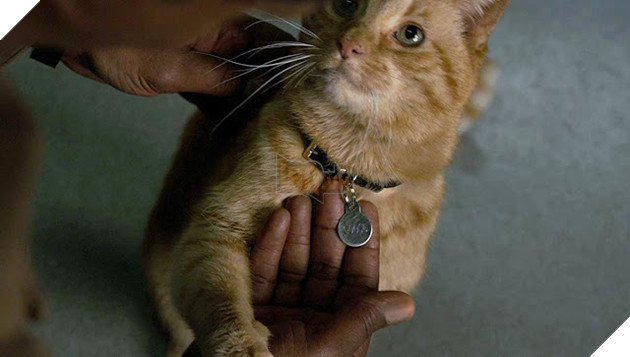 Captain Marvel có thể vượt mặt Guardians of the Galaxy Vol. 2 4