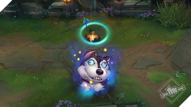 LMHT ra mat 4 skin Cho vs Meo danh cho Ca Thang 4 danh cho Fizz, Corki, Rengar va Yorick 3 LMHT ra mắt 4 skin Chó vs Mèo dành cho Cá Tháng 4 dành cho Fizz, Corki, Rengar và Yorick 3