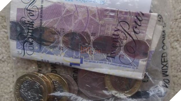 Anh: Con mèo đạo chích vừa chuyển đến khu phố mới đã trộm tiền của anh nhân viên giao sữa - Ảnh 2.