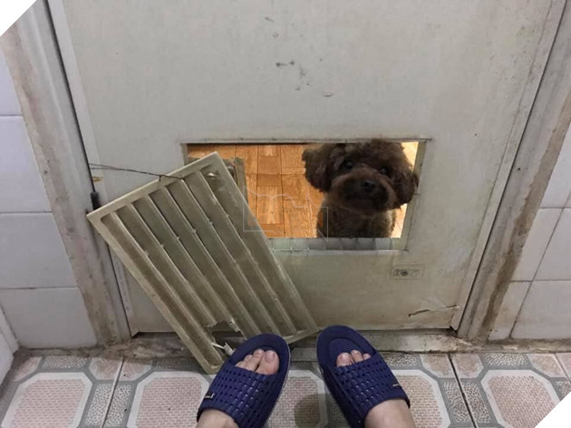 
“Mày kém sang quá sen ạ”.