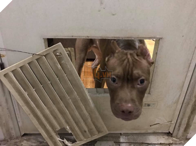 
“Tính chơi trò trốn tìm à?”