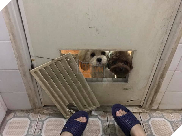 “Mày làm gì mà chui vào tận trong này đấy hả sen”.