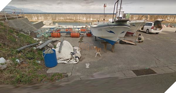 Chú chó Nhật hủy hoại mọi khung hình của Google Street View vì đuổi theo camera - Ảnh 3.