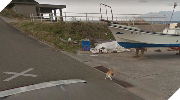 Chú chó Nhật hủy hoại mọi khung hình của Google Street View vì đuổi theo camera - Ảnh 4.