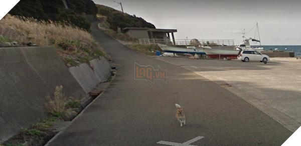 Chú chó Nhật hủy hoại mọi khung hình của Google Street View vì đuổi theo camera - Ảnh 7.