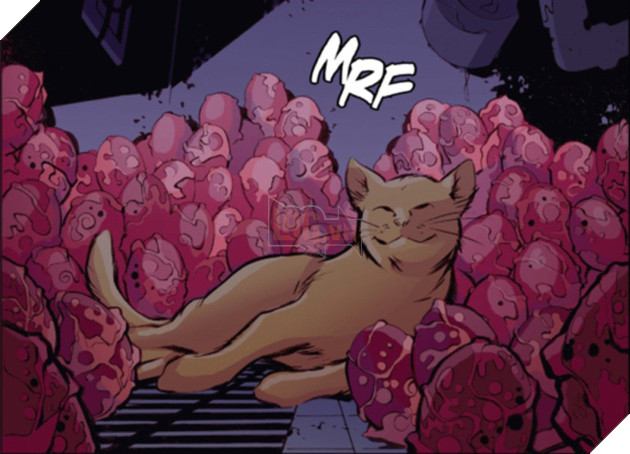 Sự thật kinh dị về con mèo rõ đáng yêu được Nick Fury vuốt ve trong Captain Marvel - Ảnh 7.