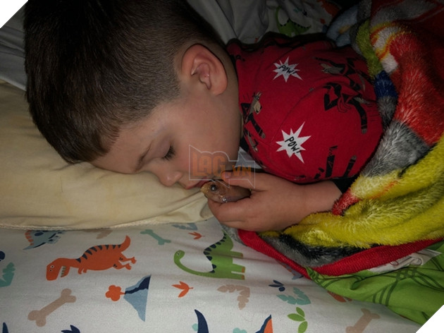 
Cậu bé Everett ôm chú cá Nemo ngủ ngon lành.