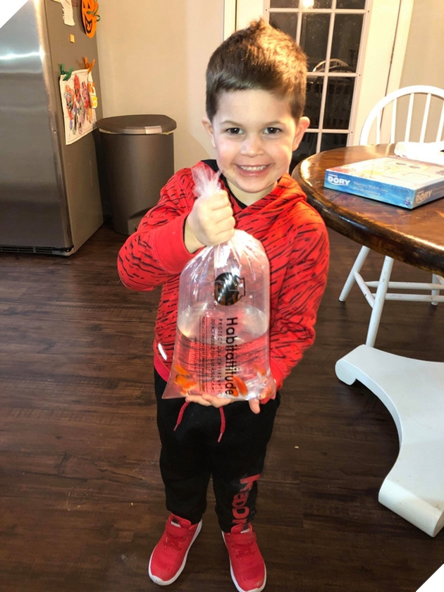 
Everett đã được tặng cho rất nhiều bạn Nemo mới trong ngày sinh nhật của mình.