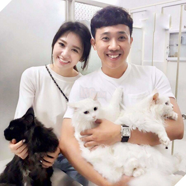 Vợ chồng Trấn Thành và Hari Won cũng không ngoại lệ khi sở hữu một chú Maine Coon có giá gần 70 triệu đồng. Ảnh: Internet
Vợ chồng Trấn Thành và Hari Won cũng không ngoại lệ khi sở hữu một chú Maine Coon có giá gần 70 triệu đồng. Ảnh: Internet