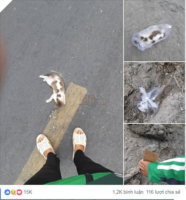 Câu chuyện về chàng Grab nhặt xác chú mèo bên đường nhận được nhiều sự chú ý.