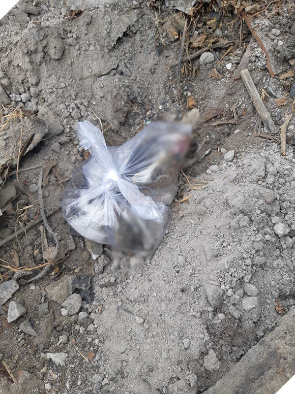 Chàng xe ôm 9X có lòng tốt chôn cất chú mèo đã chết, không ngờ nhận về những tranh cãi gay gắt 3