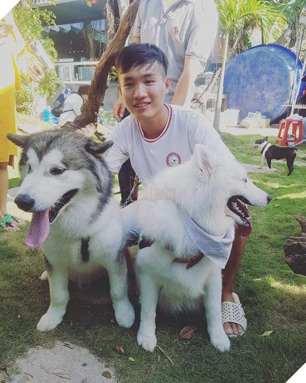 9X nhận về nhiều bình luận trái chiều khi chia sẻ bằng viết chôn cất chú mèo bị chết trên đường.