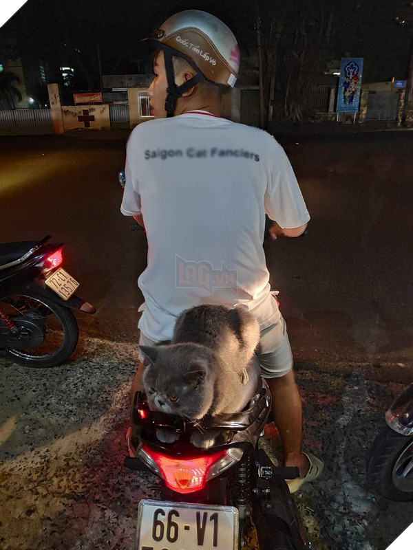 Ngọc Dễ là chàng trai có tấm lòng yêu thương động vật và thường xuyên tham gia giải cứu động vật bị mắc kẹt. (Ảnh: NVCC)