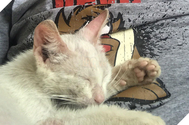 Ngủ quên ở ngoài sân, chàng trai vô tình lượm được 1 thiên thần cứu rỗi đời mình