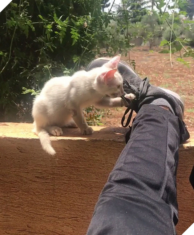 Ngủ quên ở ngoài sân, chàng trai vô tình lượm được 1 thiên thần cứu rỗi đời mình 4