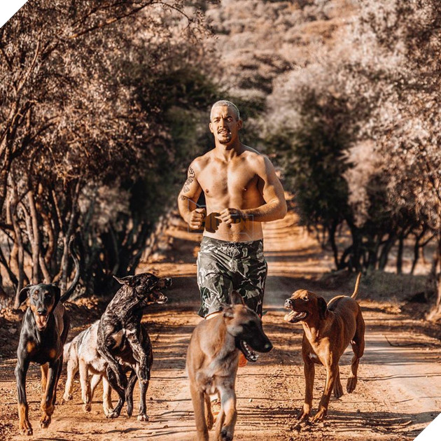 Anh chàng điển trai từ bỏ cuộc sống tiện nghi ở Thuỵ Sỹ, chuyển hẳn sang Châu Phi để giải cứu động vật hoang dã - Ảnh 9.