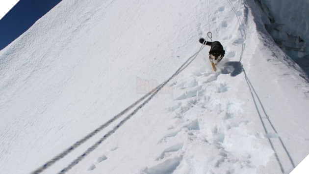 Lẽo đẽo theo sau đoàn leo núi, cô chó hoang lập kì tích khi lên tới đỉnh dãy Himalaya cao hơn 7000 mét - Ảnh 4.