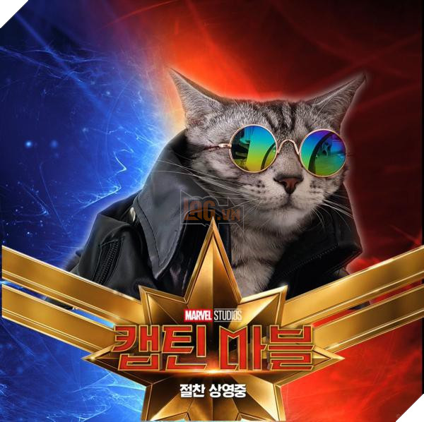 Sau Captain Marvel thi meo Goose dang tro thanh hien tuong cua cong dong mang 12 Sau Captain Marvel thì mèo Goose đang trở thành hiện tượng của cộng đồng mạng 12