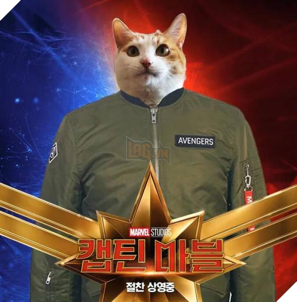 Sau Captain Marvel thi meo Goose dang tro thanh hien tuong cua cong dong mang 2 Sau Captain Marvel thì mèo Goose đang trở thành hiện tượng của cộng đồng mạng 2