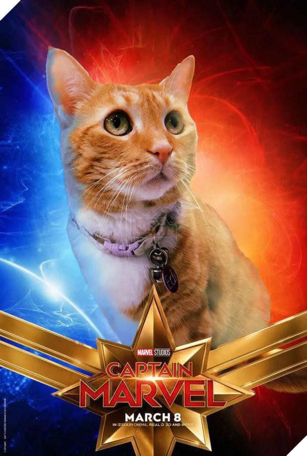 Sau Captain Marvel thi meo Goose dang tro thanh hien tuong cua cong dong mang 9 Sau Captain Marvel thì mèo Goose đang trở thành hiện tượng của cộng đồng mạng 9