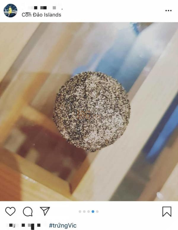 
Cận cảnh quả trứng rùa quý hiếm được cô gái chụp lại