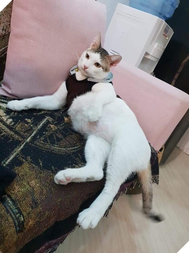 
Ròm không còn cô đơn và bất hạnh như 4 tháng trước.