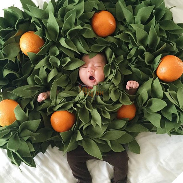 Vì sao ‘chó mèo Nhật nhiều hơn cả trẻ con’ và người già 80 tuổi vẫn phải làm việc?