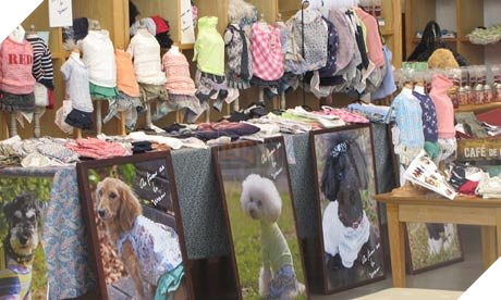 Vì sao ‘chó mèo Nhật nhiều hơn cả trẻ con’ và người già 80 tuổi vẫn phải làm việc? 6