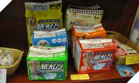 Vì sao ‘chó mèo Nhật nhiều hơn cả trẻ con’ và người già 80 tuổi vẫn phải làm việc? 7