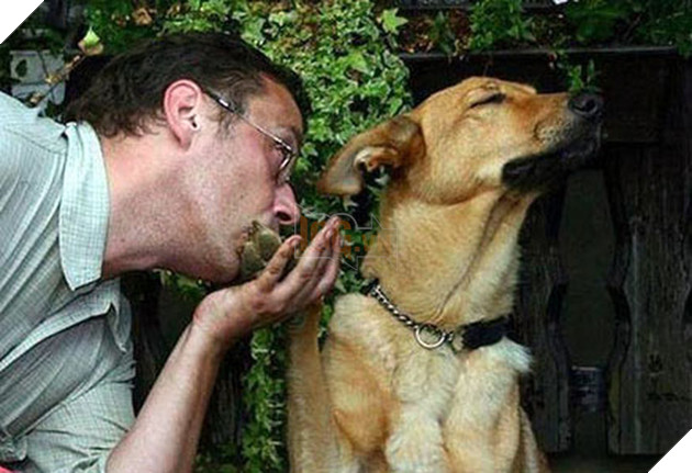 Vì sao ‘chó mèo Nhật nhiều hơn cả trẻ con’ và người già 80 tuổi vẫn phải làm việc? 5