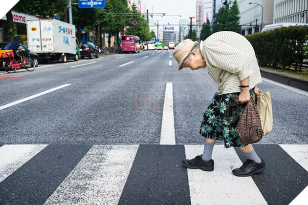 Vì sao ‘chó mèo Nhật nhiều hơn cả trẻ con’ và người già 80 tuổi vẫn phải làm việc? 2