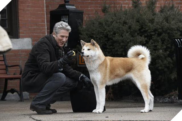 Chó liệu có phải là loài động vật đặc biệt thông minh?