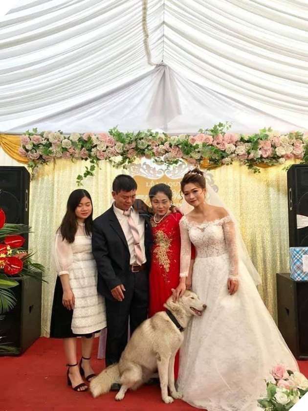 NGAY THUONG HAY TREU ‘SEN’ NHUNG DEN NGAY CO CHU THEO CHONG THI BOSS NGAO LAI ‘KHOC HET NUOC MAT’ 3 Ngày thường hay trêu 'sen' nhưng đến ngày cô chủ theo chồng thì boss ngáo lại 'khóc hết nước mắt'