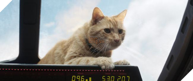 Captain Marvel ban đầu có After-Credit liên quan đến Thor: Ragnarok 2