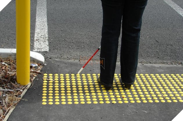 Image result for Seiichi Miyake